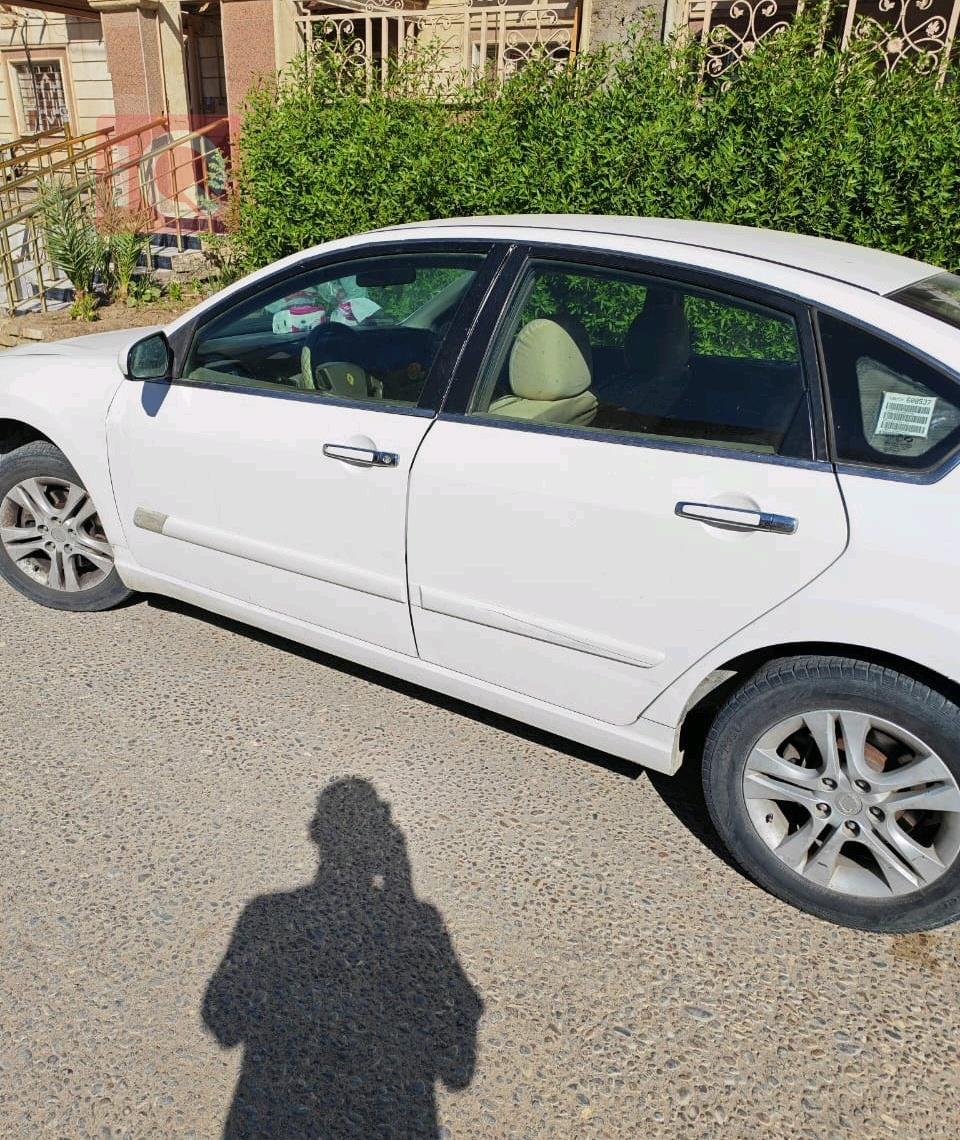 رينو سافران